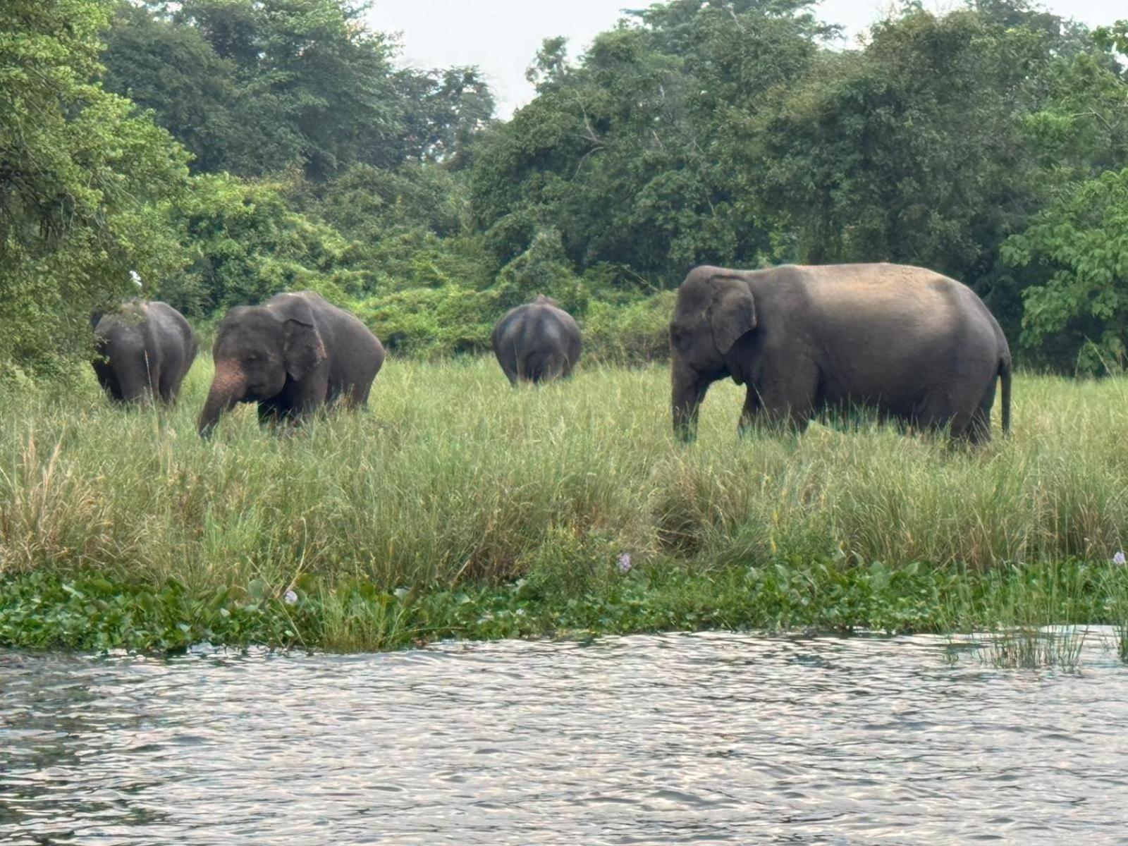 Geethani Tourist Home Polonnaruwa Ngoại thất bức ảnh